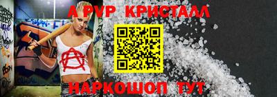 СК Гатчина