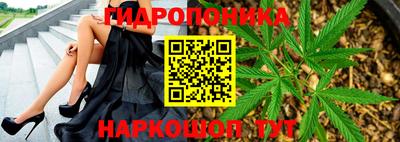 СК Гатчина