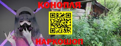 СК Гатчина