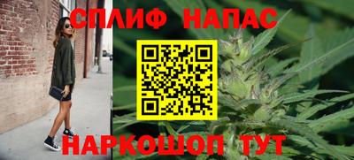 ешки Гай